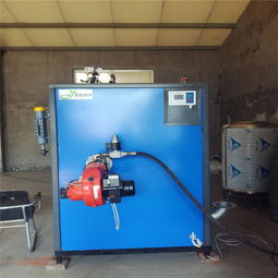 全自動立式燃?xì)忮仩t生物質(zhì)蒸汽發(fā)生器 羊肚菌滅菌的高效節(jié)能解決方案