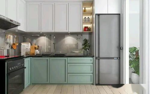 整體櫥柜新風(fēng)尚 拼色設(shè)計與滅菌鍋爐功能的完美融合